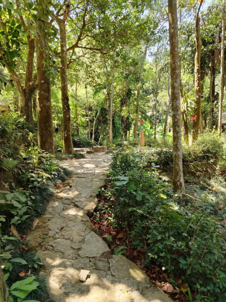 Lối đi đá phủ rêu trong khu sinh thái của Bảo tàng Đồng Đình