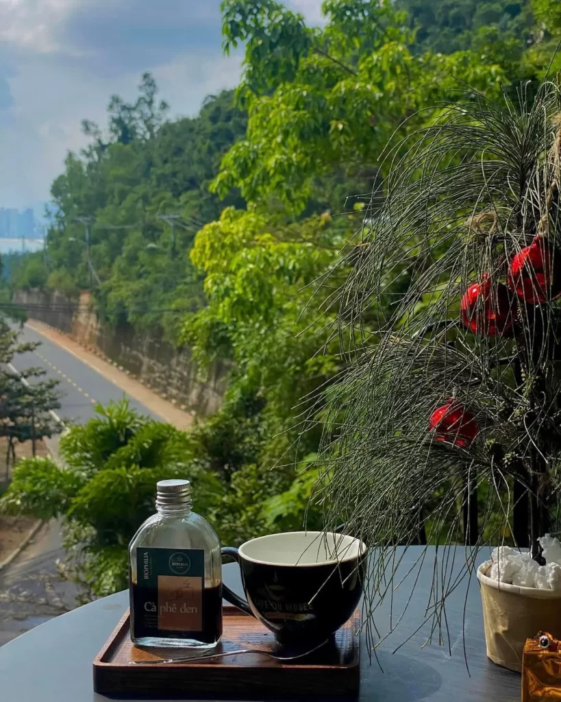 Bảo tàng Đồng Đình giá vé